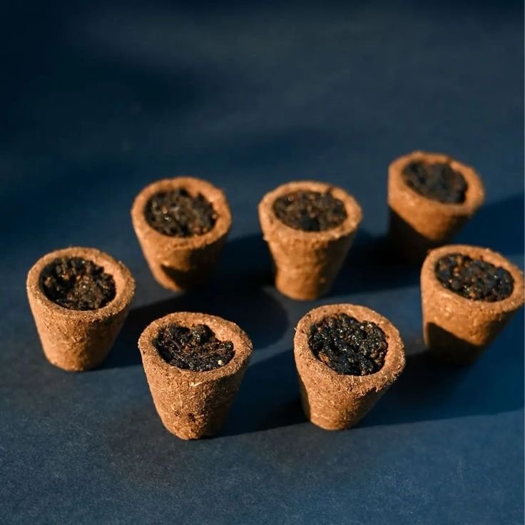 Vijaya Ganesh Hawan Cups